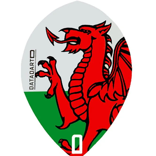 Datadart CMF39 Wales Pear Shape Flight