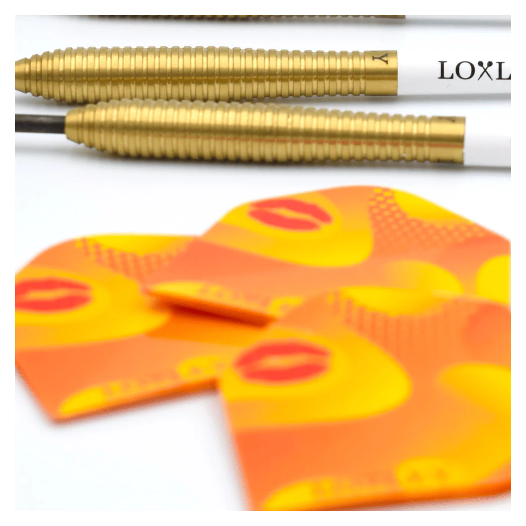 Loxley Christian Kist WC Edition 90% Tungsten Steel Tip Darts 22g - Image 2