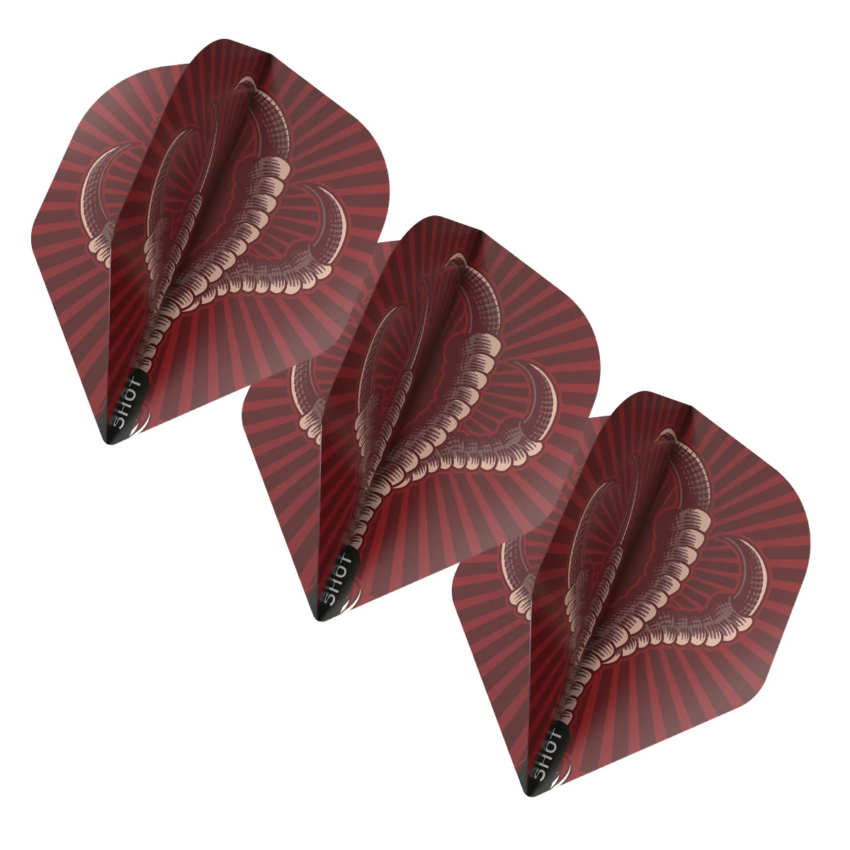 Shot Birds Of Prey Osprey Dart Flights - Image 3